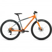 Forward EVEREST 29 D