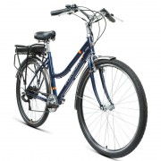  Forward Omega 28 250w 2021